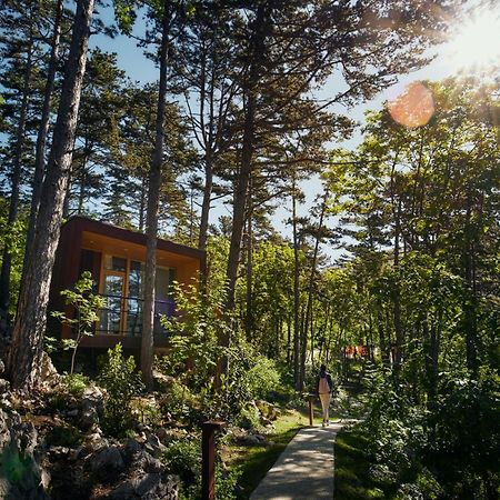 Theodosius Forest Village - Glamping In Vipava Valley Eksteriør bilde